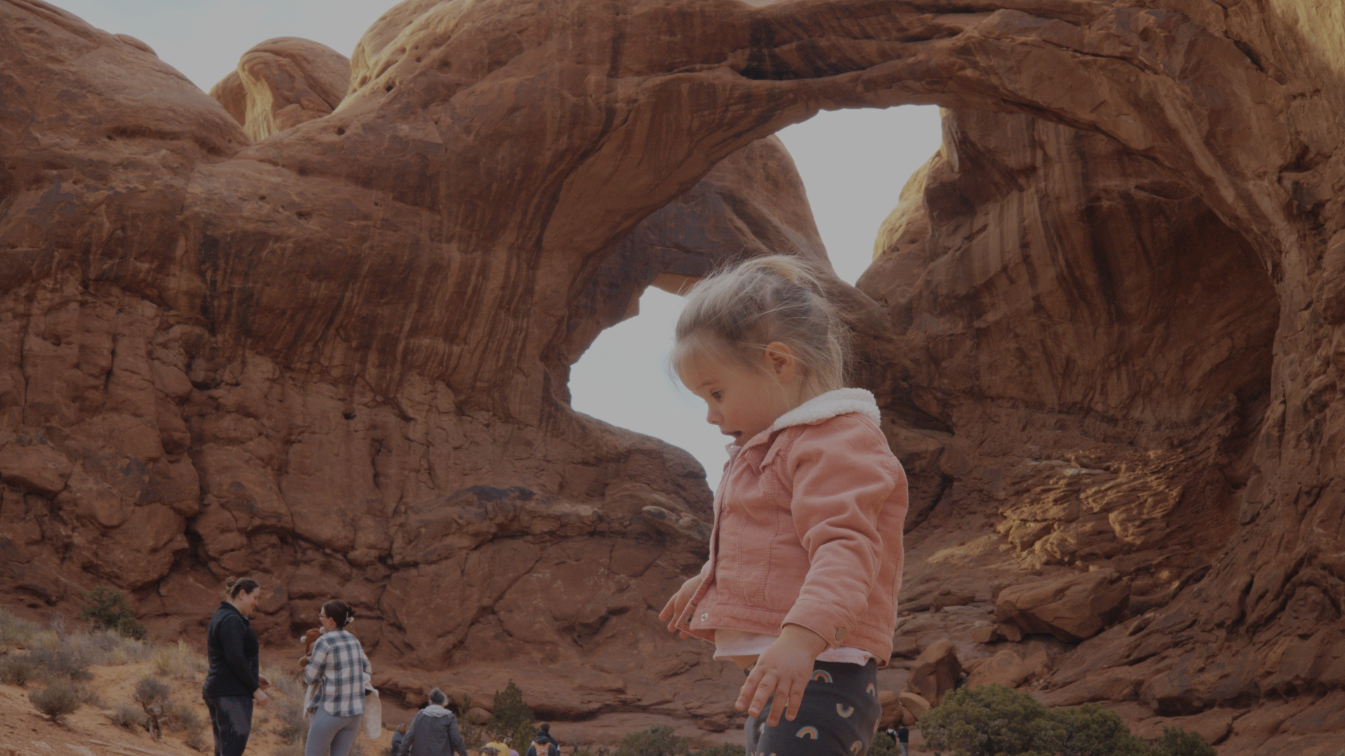 Log / ungraded reference frame