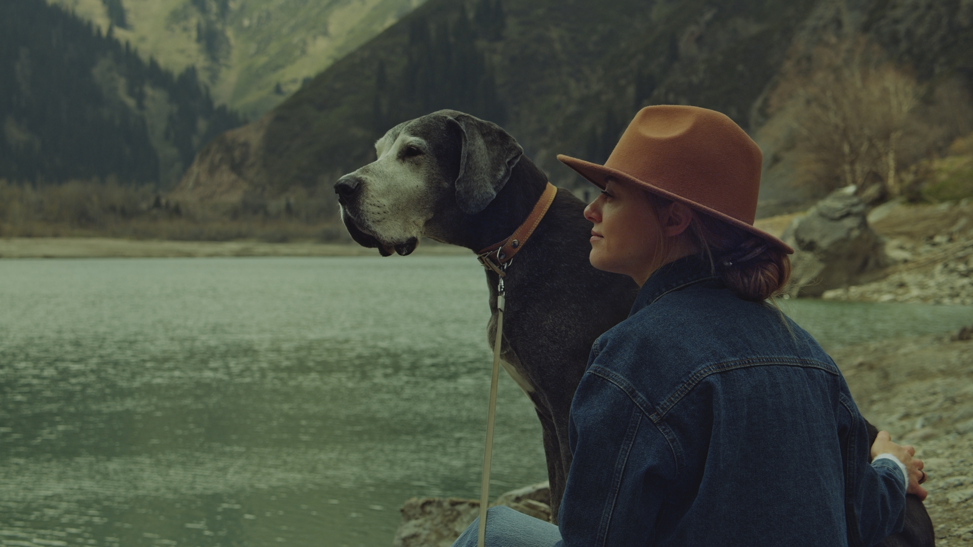 PhotoChemist preset preview